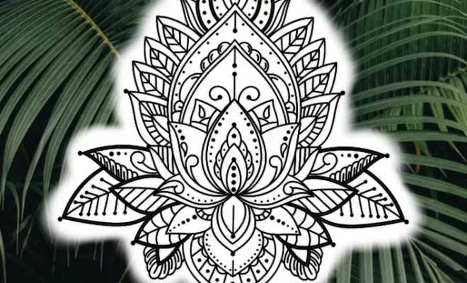 Projets, Dax, L'Encre du Paradis