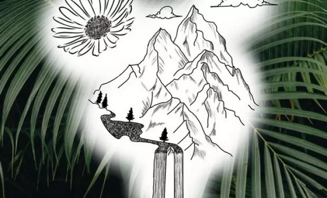 Projets, Dax, L'Encre du Paradis