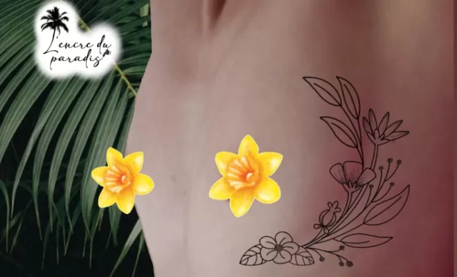Projets, Dax, L'Encre du Paradis