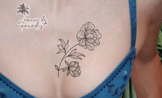 Projets, Dax, L'Encre du Paradis