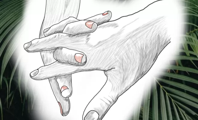 Projets, Dax, L'Encre du Paradis