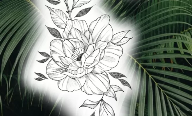 Projets , Dax, L'Encre du Paradis